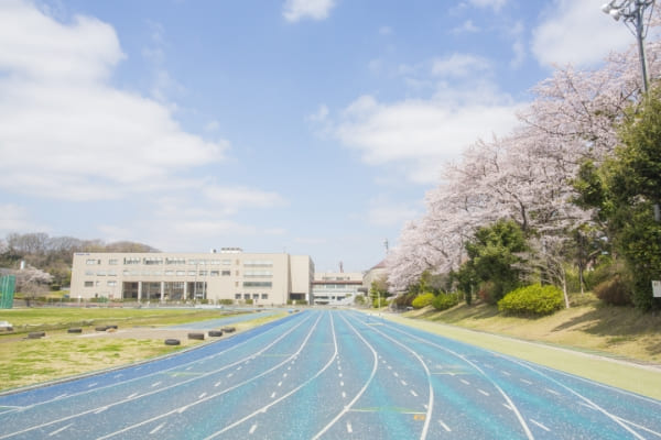 日本体育大学　写真